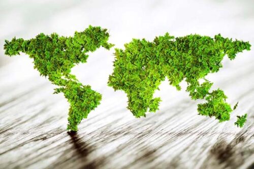 Botanical Cosmeceuticals