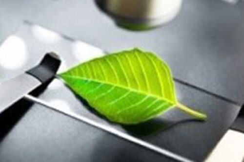 What are cosmeceuticals?